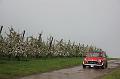MG Bloesemrit op 24-4-2016 org. Jos&Marie-lou  (218)